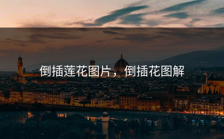 倒插莲花图片，倒插花图解
