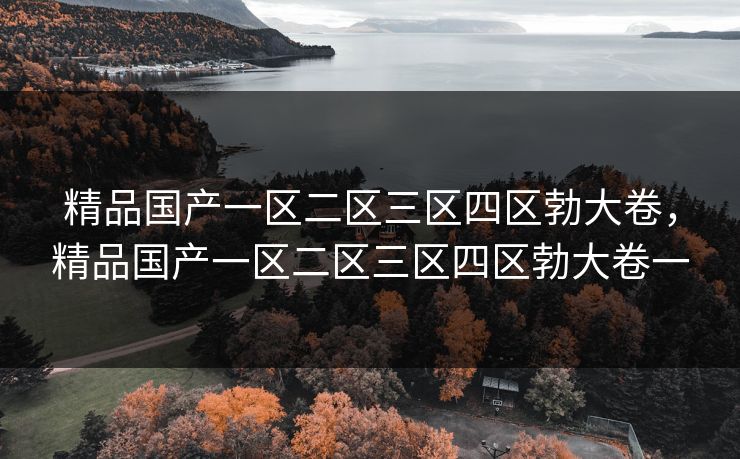 精品国产一区二区三区四区勃大卷，精品国产一区二区三区四区勃大卷一