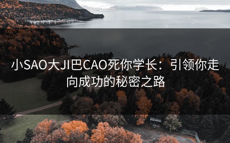 小SAO大JI巴CAO死你学长:引领你走向成功的秘密之路 第1张 小SAO大JI巴CAO死你学长:引领你走向成功的秘密之路 第1张
