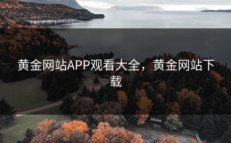 黄金网站APP观看大全，黄金网站下载  第1张
